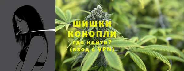 сатива Арсеньев