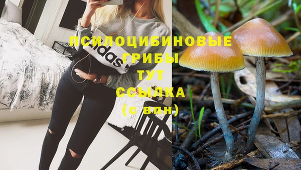 экстази Аркадак