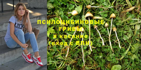 Альфа ПВП Армянск