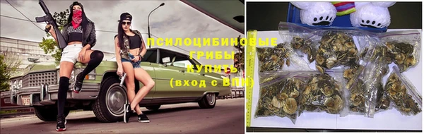 Альфа ПВП Армянск
